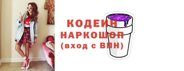 хмурый Абаза